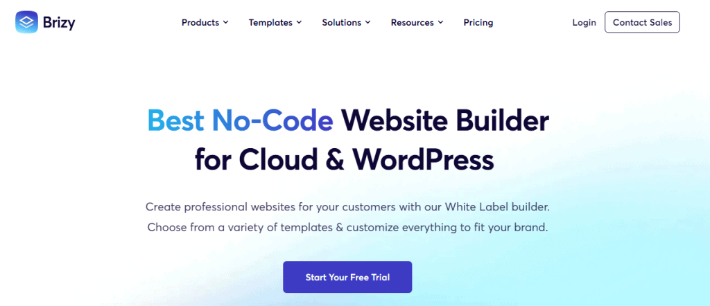 brizy-best-no-code-ai-website-builder-wordpress