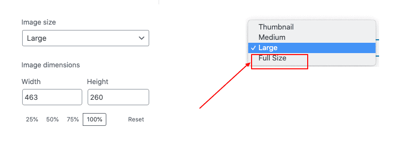 Use “Full Size” on Your WordPress Site When Inserting the GIF
